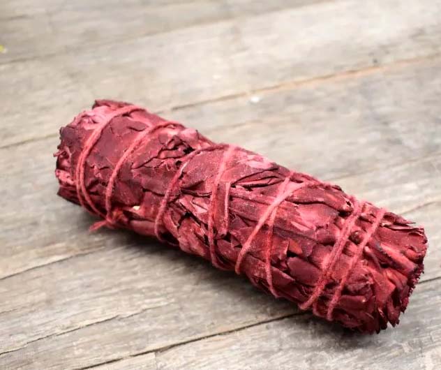 ATADO SALVIA SANGRE DRAGON 25